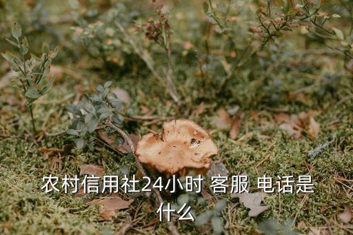 甘肅農(nóng)村銀行客服電話是多少,甘肅郵政儲蓄銀行客服電話