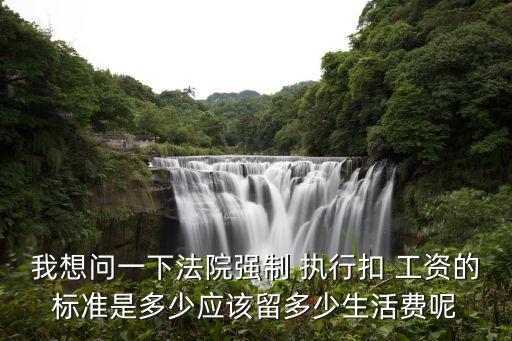 我想問(wèn)一下法院強(qiáng)制 執(zhí)行扣 工資的標(biāo)準(zhǔn)是多少應(yīng)該留多少生活費(fèi)呢