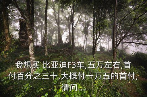 我想買 比亞迪F3車,五萬左右,首付百分之三十,大概付一萬五的首付,請(qǐng)問...