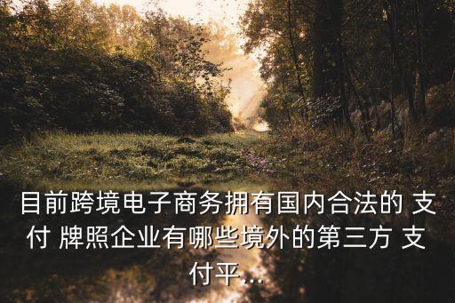 目前跨境電子商務(wù)擁有國內(nèi)合法的 支付 牌照企業(yè)有哪些境外的第三方 支付平...