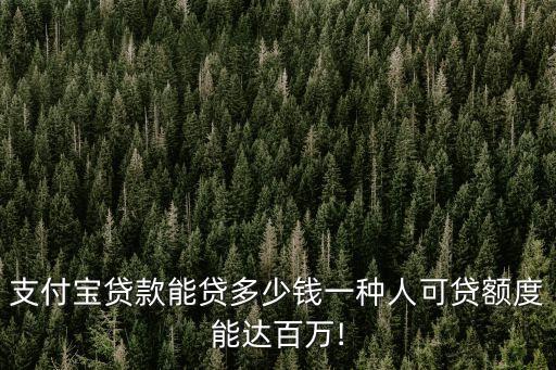支付寶貸款能貸多少錢一種人可貸額度能達百萬!