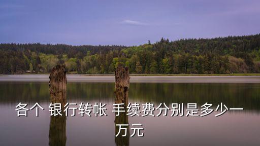 銀行轉(zhuǎn)款需要什么手續(xù)費(fèi)多少,請(qǐng)問(wèn)銀行代款需要什么