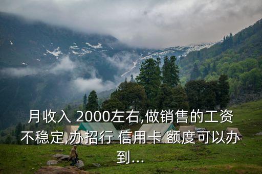 月收入 2000左右,做銷售的工資不穩(wěn)定,辦招行 信用卡 額度可以辦到...