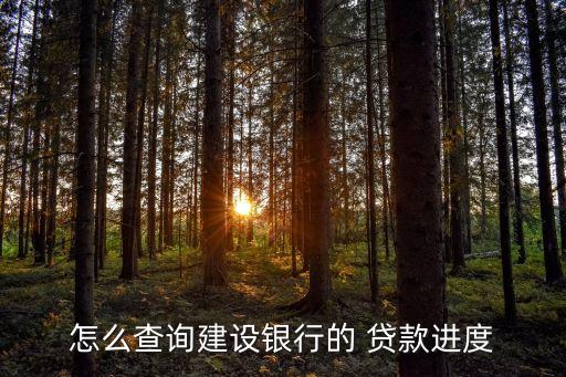 惠陽建行貸款中心電話是多少錢
