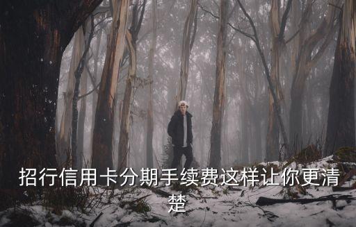  招行信用卡分期手續(xù)費(fèi)這樣讓你更清楚