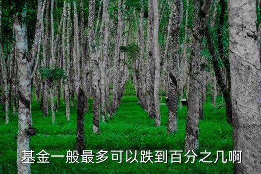 指數(shù)基金最多賠多少,買(mǎi)指數(shù)基金會(huì)不會(huì)賠成負(fù)的