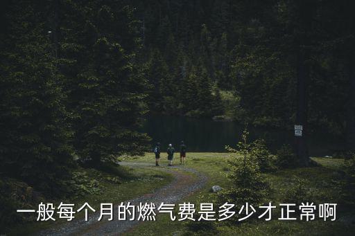 煤氣繳費(fèi)交多少,呼和浩特市煤氣繳費(fèi)怎么交