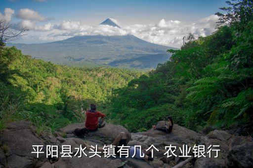 溫州市農(nóng)業(yè)銀行有多少,浙江省溫州市農(nóng)業(yè)銀行客服電話