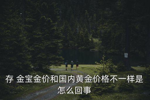存金寶最多可以買多少錢