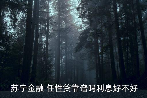  蘇寧金融 任性貸靠譜嗎利息好不好