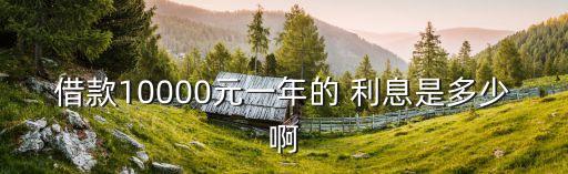 借款10000元一年的 利息是多少啊