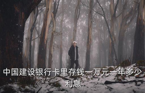 中國建設(shè)銀行卡里存錢一萬元一年多少 利息