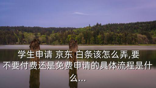  學生申請 京東 白條該怎么弄,要不要付費還是免費申請的具體流程是什么...
