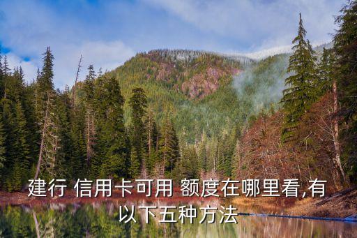 建行 信用卡可用 額度在哪里看,有以下五種方法