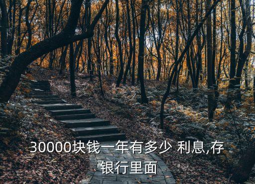 三萬元銀行利息是多少,三萬塊錢存銀行一年利息大概多少
