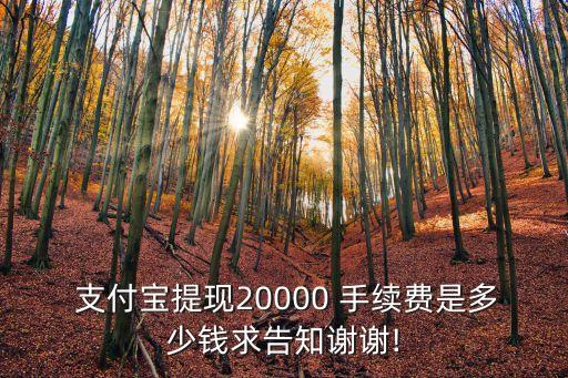 用支付寶轉(zhuǎn)2萬需要多少手續(xù)費(fèi)多少