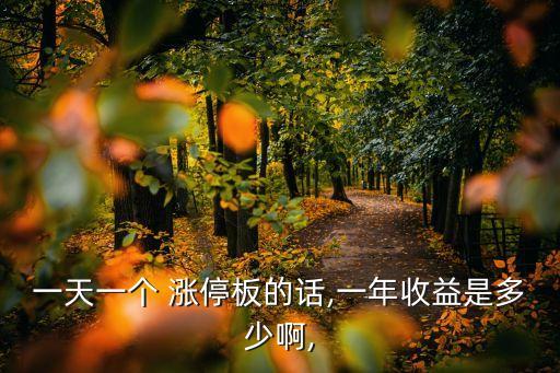 一天一個 漲停板的話,一年收益是多少啊,