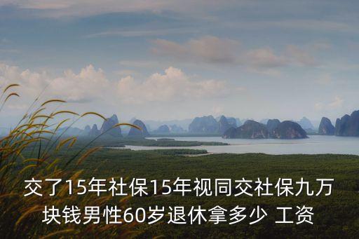 交了15年社保15年視同交社保九萬塊錢男性60歲退休拿多少 工資