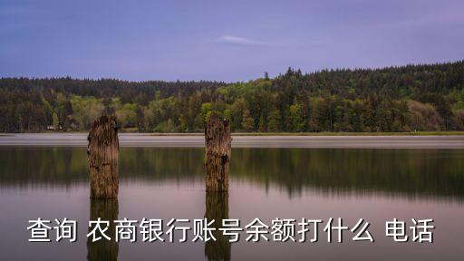 義烏農(nóng)行農(nóng)商支行電話是多少錢