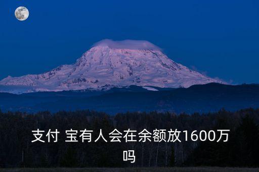  支付 寶有人會(huì)在余額放1600萬嗎