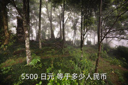 5500 日元 等于多少人民幣