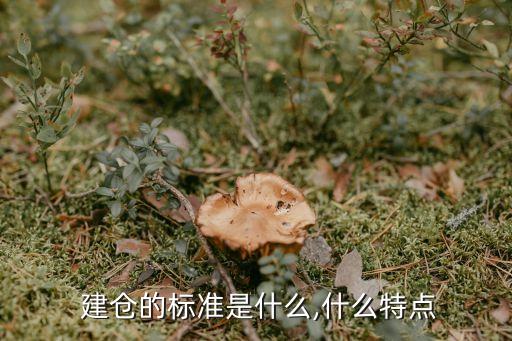 股票建倉多少為好