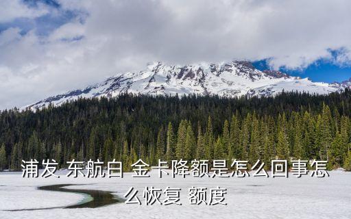 浦發(fā) 東航白 金卡降額是怎么回事怎么恢復(fù) 額度