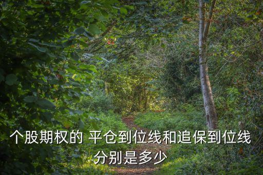 個股期權(quán)的 平倉到位線和追保到位線分別是多少