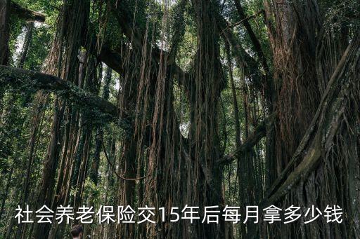 社會養(yǎng)老保險交15年后每月拿多少錢