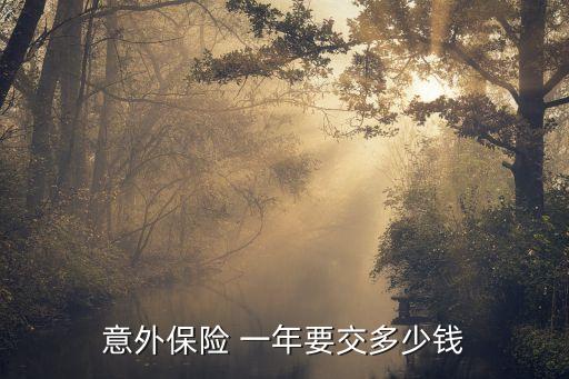 意外保險(xiǎn) 一年要交多少錢(qián)