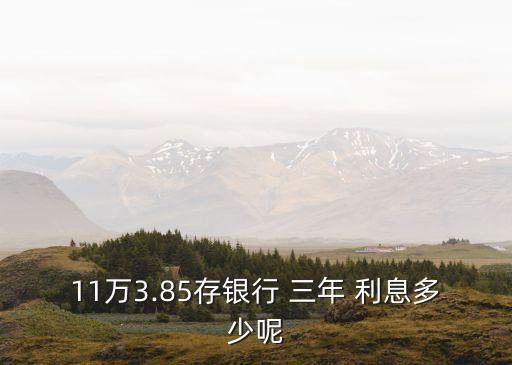 十一萬三年利息是多少錢,存十一萬三年定期利息多少
