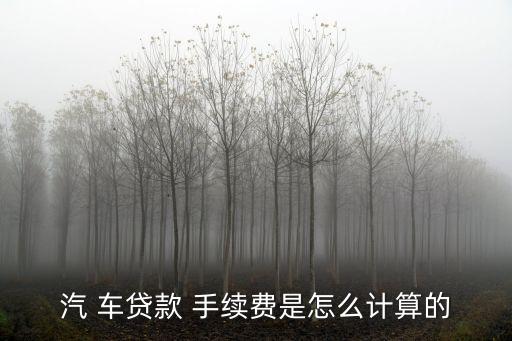 車貸4000手續(xù)費(fèi)多少錢,6萬車貸一般手續(xù)費(fèi)多少
