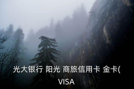 光大銀行 陽光 商旅信用卡 金卡(VISA