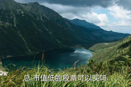 總市值多少就能買300,阿里巴巴總市值是多少