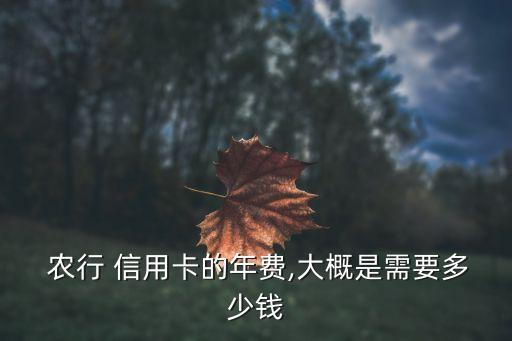  農行 信用卡的年費,大概是需要多少錢