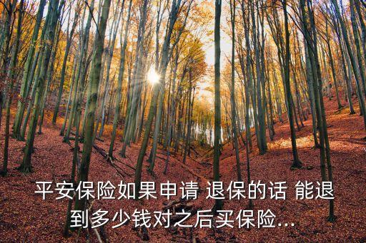  平安保險(xiǎn)如果申請(qǐng) 退保的話 能退到多少錢(qián)對(duì)之后買(mǎi)保險(xiǎn)...