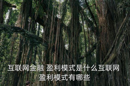 互聯(lián)網(wǎng)金融 盈利模式是什么互聯(lián)網(wǎng) 盈利模式有哪些