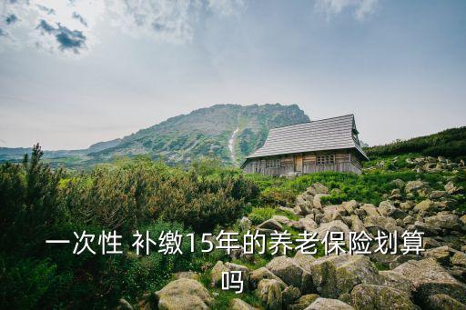  一次性 補繳15年的養(yǎng)老保險劃算嗎