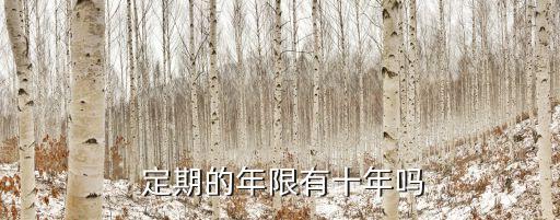  定期的年限有十年嗎