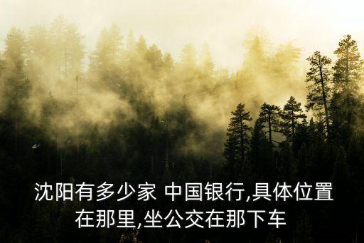  沈陽有多少家 中國銀行,具體位置在那里,坐公交在那下車