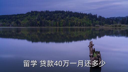 留學(xué)小額貸款利率多少,小額貸款利率不能超過多少