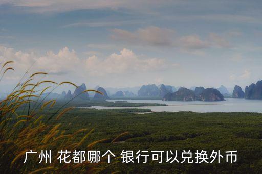 廣州 花都哪個(gè) 銀行可以兌換外幣