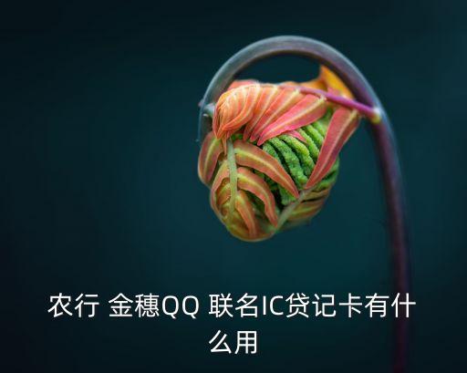 農(nóng)行 金穗QQ 聯(lián)名IC貸記卡有什么用