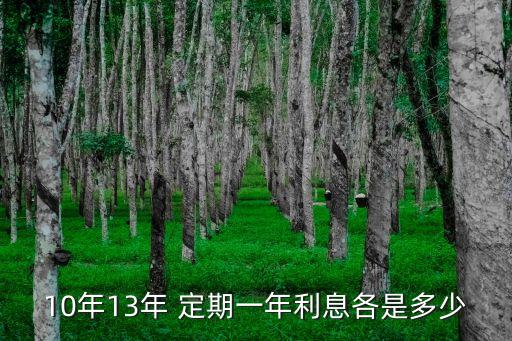 10年13年 定期一年利息各是多少