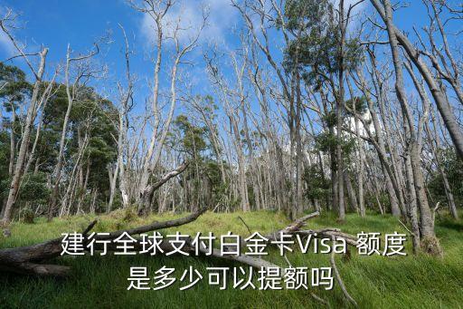 建行visa信用卡全幣種信用卡額度是多少