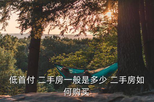 二手房最低首付款多少,42萬(wàn)二手房首付款多少