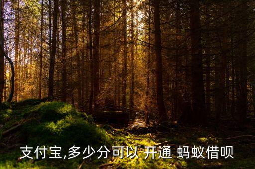 多少螞蟻信用開通借唄,開通螞蟻信用有好處和壞處