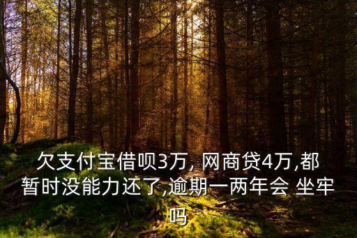 網(wǎng)商貸多少會坐牢