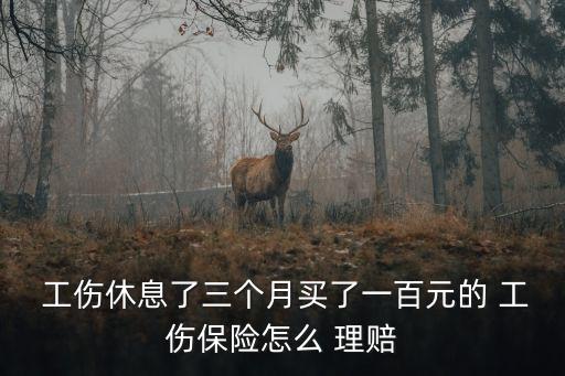100元工傷意外險理賠多少錢,意外險交100出現(xiàn)工傷怎么賠付