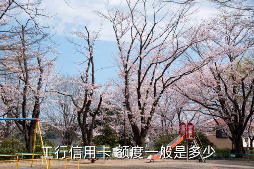  工行信用卡 額度一般是多少